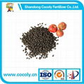 Granular water soluble fertilizer