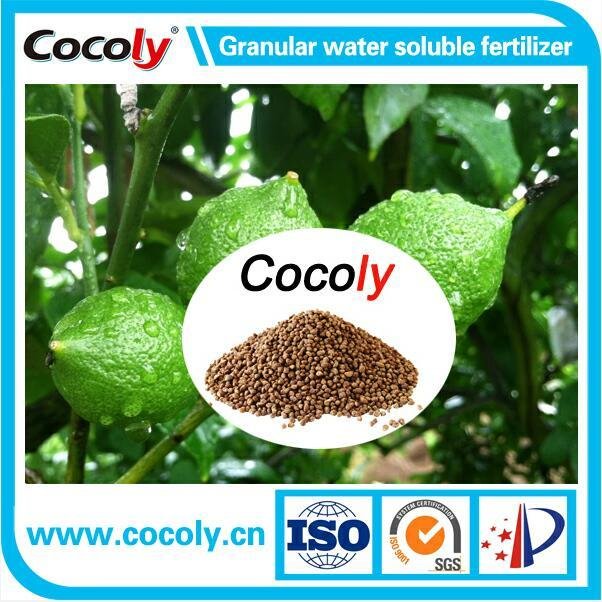 Granular water soluble fertilizer 2