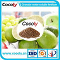 Cocoly complete nutritional water soluble fertilizer in granular shape 1