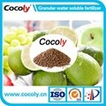 Cocoly complete nutritional water soluble fertilizer in granular shape