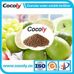 Cocoly complete nutritional water soluble fertilizer in granular shape