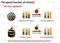 Cocoly complete nutritional water soluble fertilizer in granular shape 2