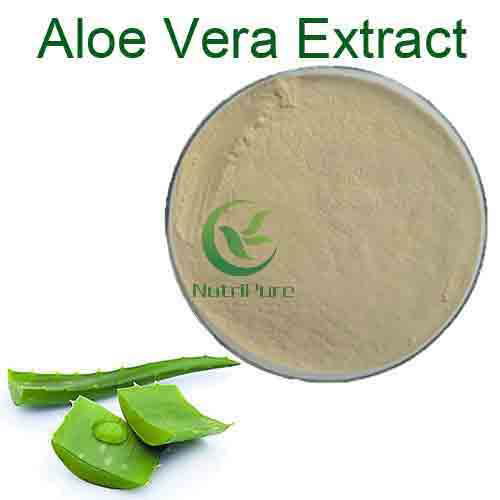 High Quality Aloe Vera Extract Aloe Emodin