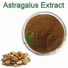 Astragalus root extract cycloastragenol CAS 78574-94-4 cycloastragenol 98%powder