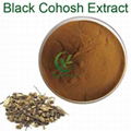 Hot Sell Black Cohosh Extract of Bottom Price