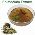 100% Natural Epimedium Extract Icariin