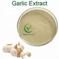 Quality Garlic Extract 1% 2% 3% Allicin 1