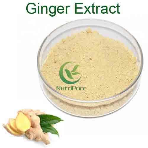 Ginger P.E.1%-20% Gingerols Factory supply Organic ginger root extract