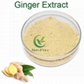 Ginger P.E.1%-20% Gingerols Factory supply Organic ginger root extract 1