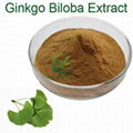 Factory Price Organic Ginkgo Biloba