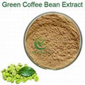 Hot sales green coffee bean extract