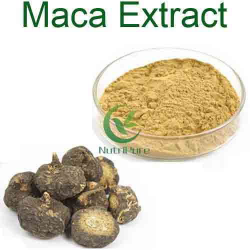 Herbal extract 10:1 20:1 maca powder maca root extract