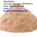 WOOD POWDER from VIETNAM - thanhquy(AT)kimminhexim(DOT)com 2