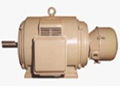 YR Series slip ring motor 