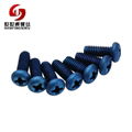 metric titanium screws 1