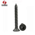 titanium torx screws 1