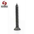 titanium torx screws 3