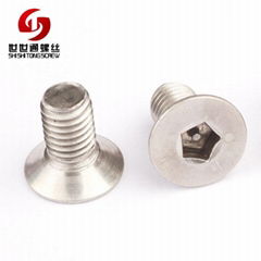 stainless steel security anti theft tamper resistant flat head screws