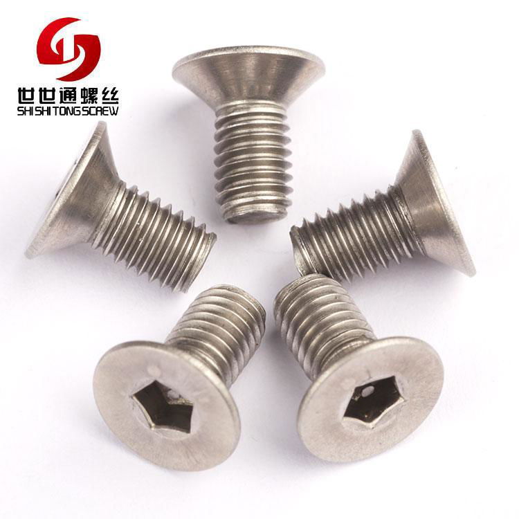 stainless steel security anti theft tamper resistant flat head screws 2