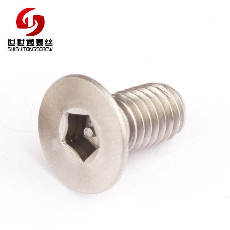 stainless steel security anti theft tamper resistant flat head screws 3