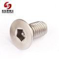 stainless steel security anti theft tamper resistant flat head screws 3