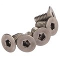 stainless steel security anti theft tamper resistant flat head screws 4