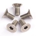 stainless steel security anti theft tamper resistant flat head screws 5