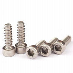 cap head self tapping stainless socket head screws