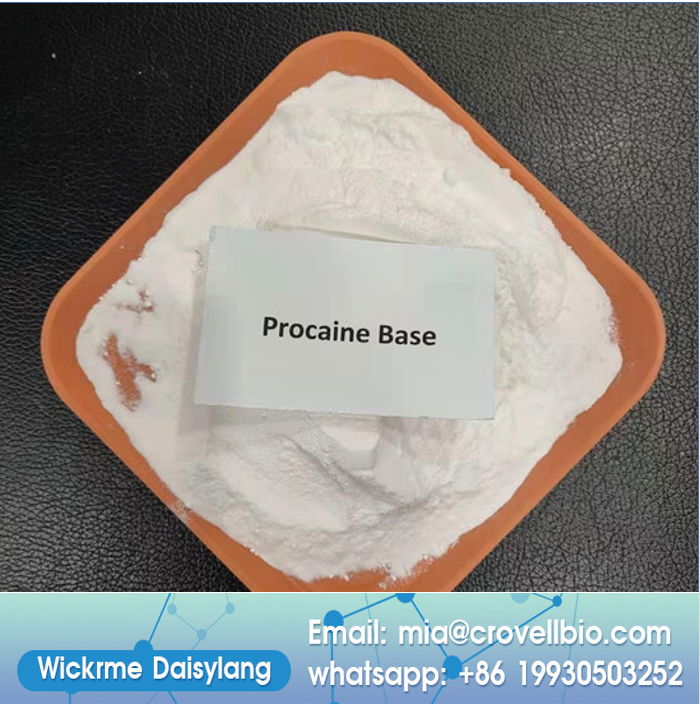 Anti-pain Pharmaceutical Chemical CAS 59-46-1 procaine base powder , procaine  5