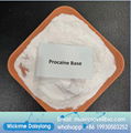 Anti-pain Pharmaceutical Chemical CAS 59-46-1 procaine base powder , procaine 