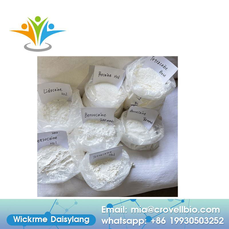 Anti-pain Pharmaceutical Chemical CAS 59-46-1 procaine base powder , procaine  2