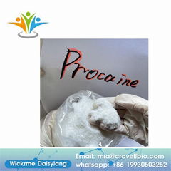 pain-killer Pharmaceutical CAS 51-05-8 procaine HCL,procaine hydrochloride