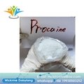 pain-killer Pharmaceutical CAS 51-05-8 procaine HCL,procaine hydrochloride 