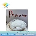 pain-killer Pharmaceutical CAS 51-05-8 procaine HCL,procaine hydrochloride 