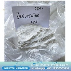 painkiller Benzocaine HCl CAS 23239-88-5 Benzocaine Hydrochloride+86 19930503252