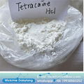 anti-pain powder Tetracaine hydrochloride CAS 136-47-0 powder Tetracaine Hcl  2