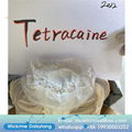 anti-paing powder Tetracaine base CAS 94-24-6 with China tetracaine price 1