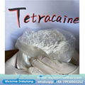 anti-paing powder Tetracaine base CAS 94-24-6 with China tetracaine price 2