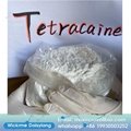 anti-paing powder Tetracaine base CAS 94-24-6 with China tetracaine price