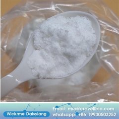 China factory supply M ethylamine hcl CAS 593-51-1 m ethylamine hydrochloride