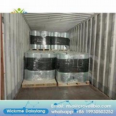 China Factory Supply Soild Form and Liquid Form CAS 124-41-4 Sodium Methoxide