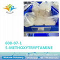 China Factory Sell 5-Methoxytryptamine CAS 608-07-1 5-Mt 2