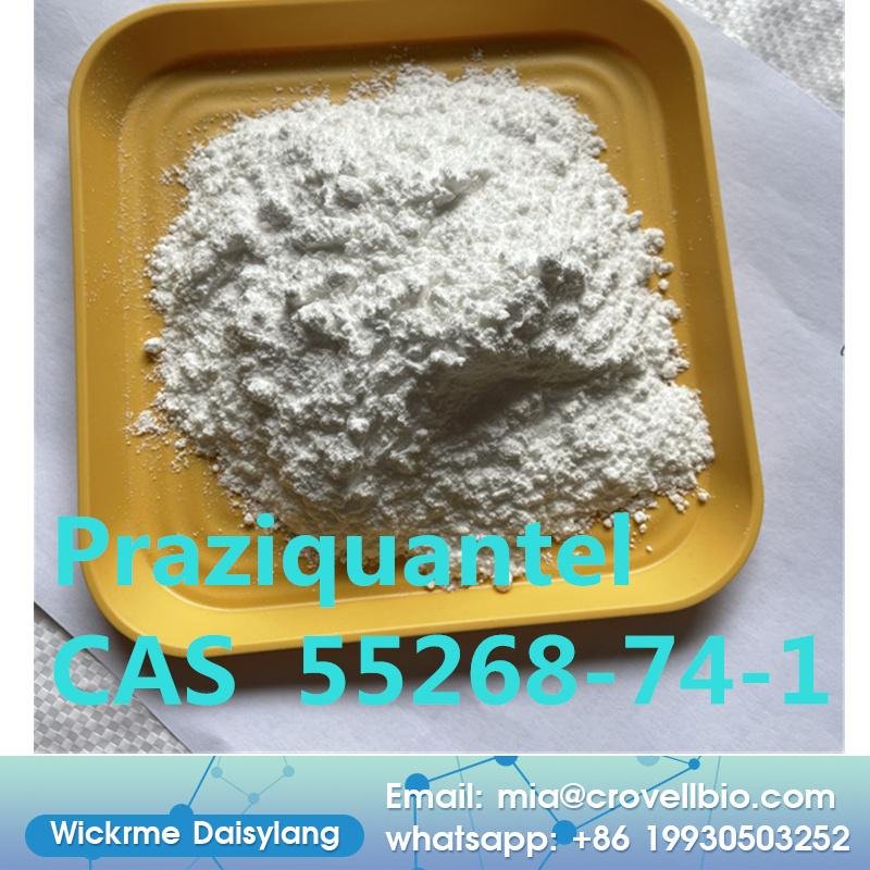 China factory sell Pharmaceutical Grade CAS 55268-74-1 Powder Praziquantel