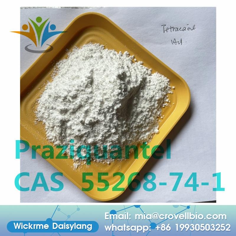 China factory sell Pharmaceutical Grade CAS 55268-74-1 Powder Praziquantel 2