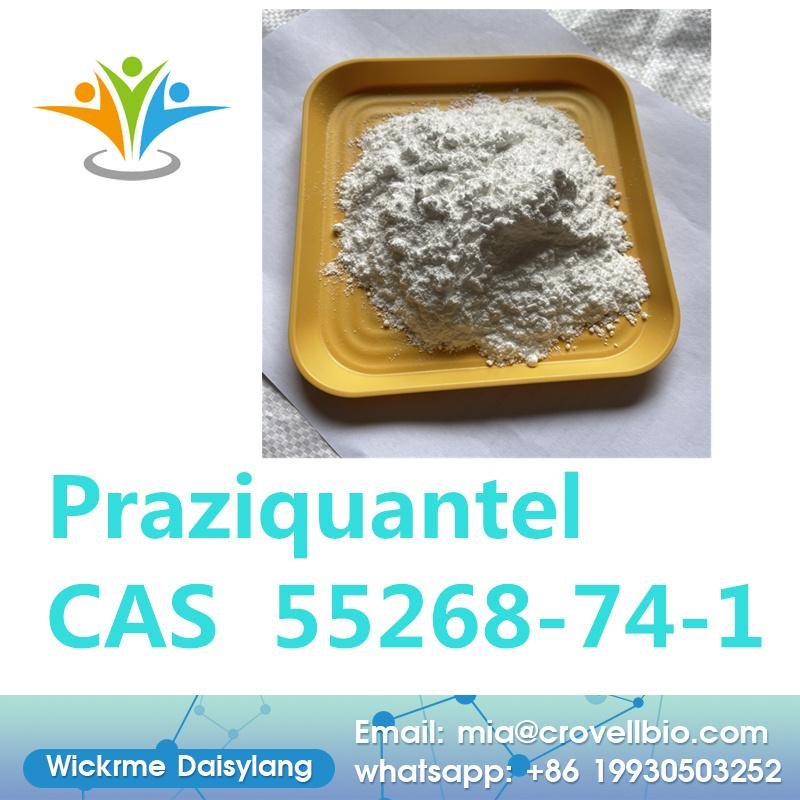 China factory sell Pharmaceutical Grade CAS 55268-74-1 Powder Praziquantel 3