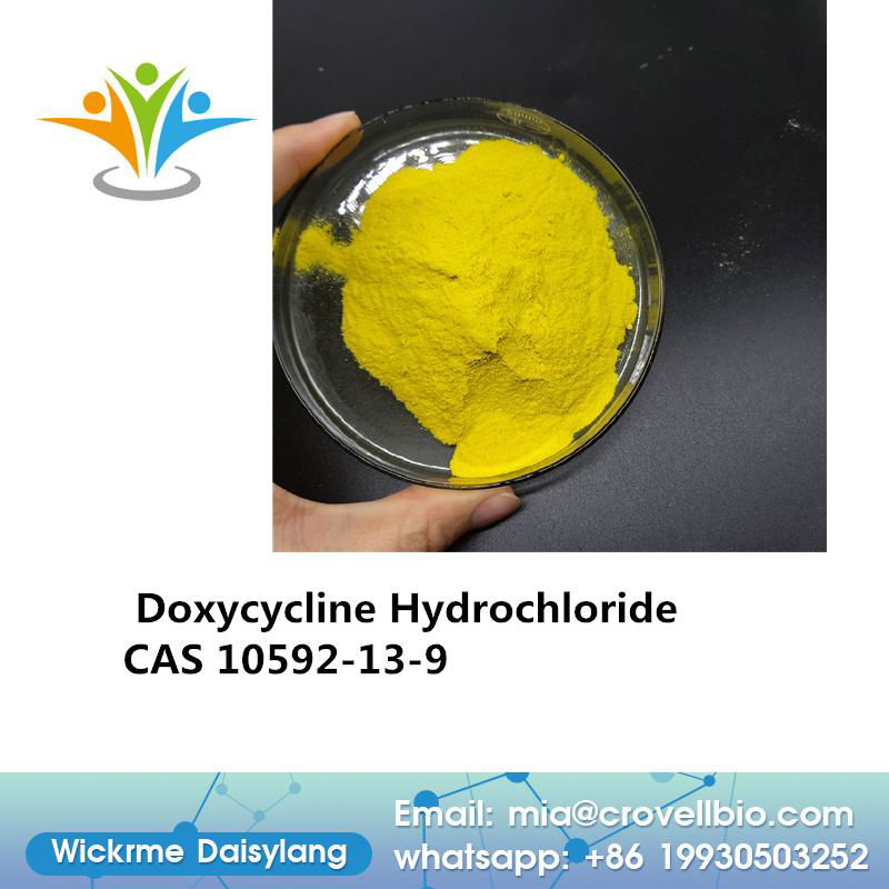 China factory sell Doxycycline Hydrochloride CAS 10592-13-9 Doxycycline hcl  2