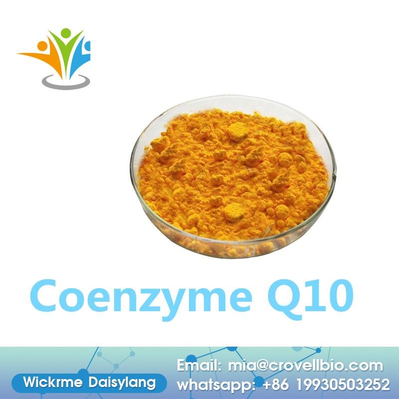 China sell CAS 992-78-9 /CAS  303-98-0 Powder Ubiquinone Coenzyme Q10