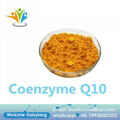 China sell CAS 992-78-9 /CAS  303-98-0 Powder Ubiquinone Coenzyme Q10 1