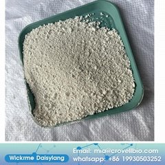 China factory sell chemicals Zinc Pyrithione Zpt Powder CAS 13463-41-7