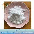 China sell API chemicals powder Chitosan CAS 9012-76-4 1